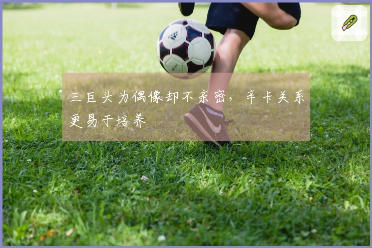 三巨头为偶像却不亲密，辛卡关系更易于培养