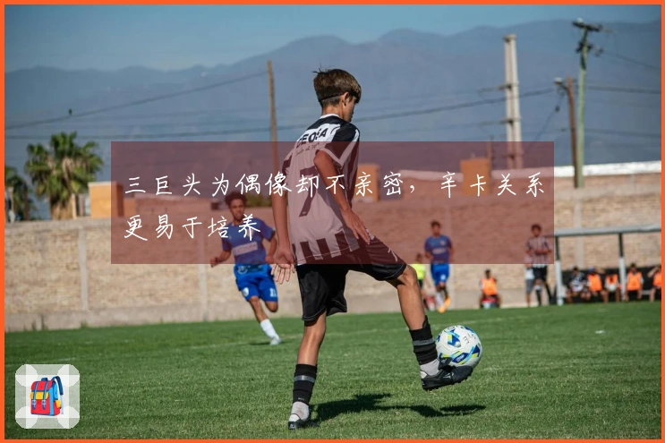 三巨头为偶像却不亲密，辛卡关系更易于培养