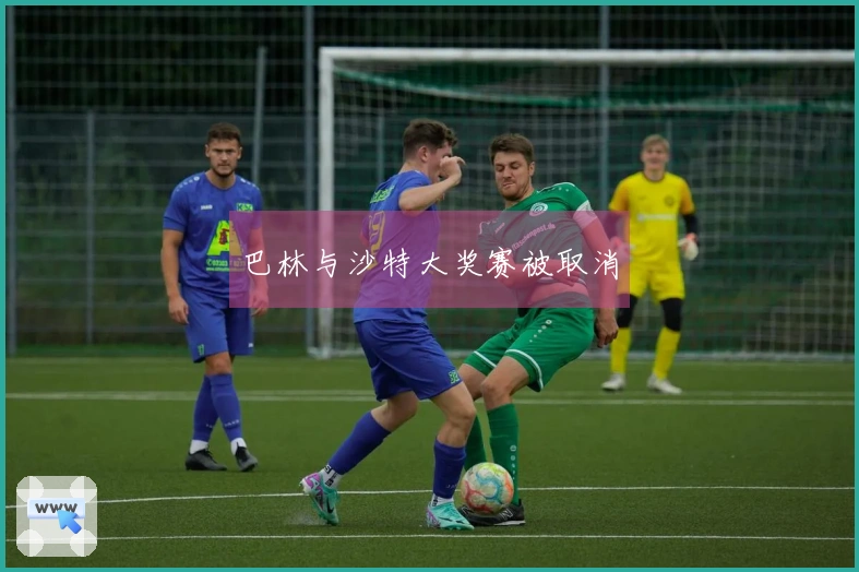 巴林与沙特大奖赛被取消